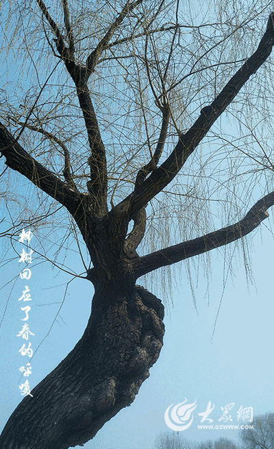 downloadfile-1612759837891.