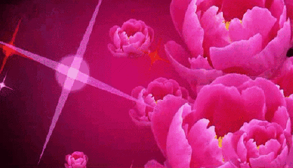 5b0988e595225.cdn.sohucs-126.