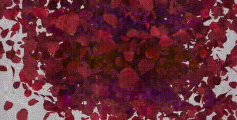 1613204072046008902.gif src=http_%2F%2F5b0988e595225.cdn.sohucs.com%2Fimages%2F20180212%2Fc04fa6e611ef467eb9669695f7b5186e.gif&refer=http_%2F%2F5b0988e595225.cdn.sohucs.gif