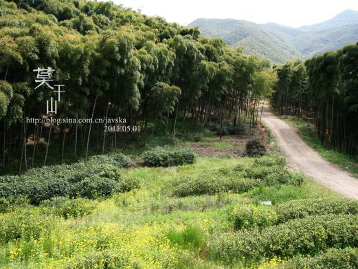 dimg02.c-ctrip-1613562544411.