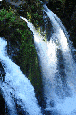 5b0988e595225.cdn.sohucs-102.