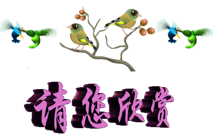 122.img.pp.sohu.