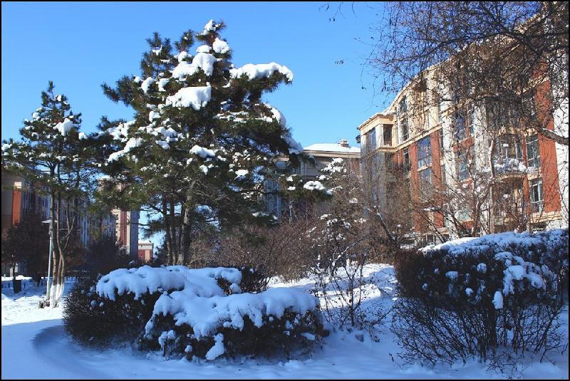 k.zol-img.com.