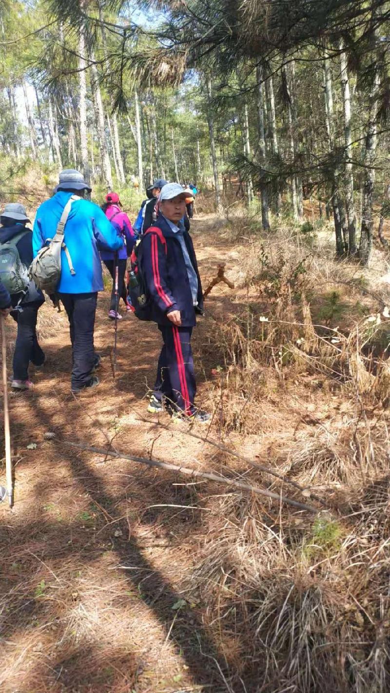 春来攀登杨柳坡 满怀豪情向天歌 作者: 铁裕〔云南〕【冰心文化传媒】(图4)