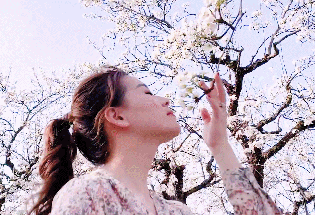 梅兰竹菊诗歌专刊‖春(外三首) 京津沪头条 作者:梅兰竹菊(图4)
