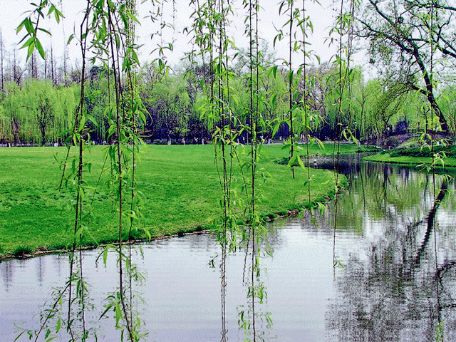img.zdwx-12.