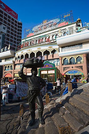 巾帼女侠怒 为王石白雨《龙山别恋》第九章点拔 作者:新华人（图2）