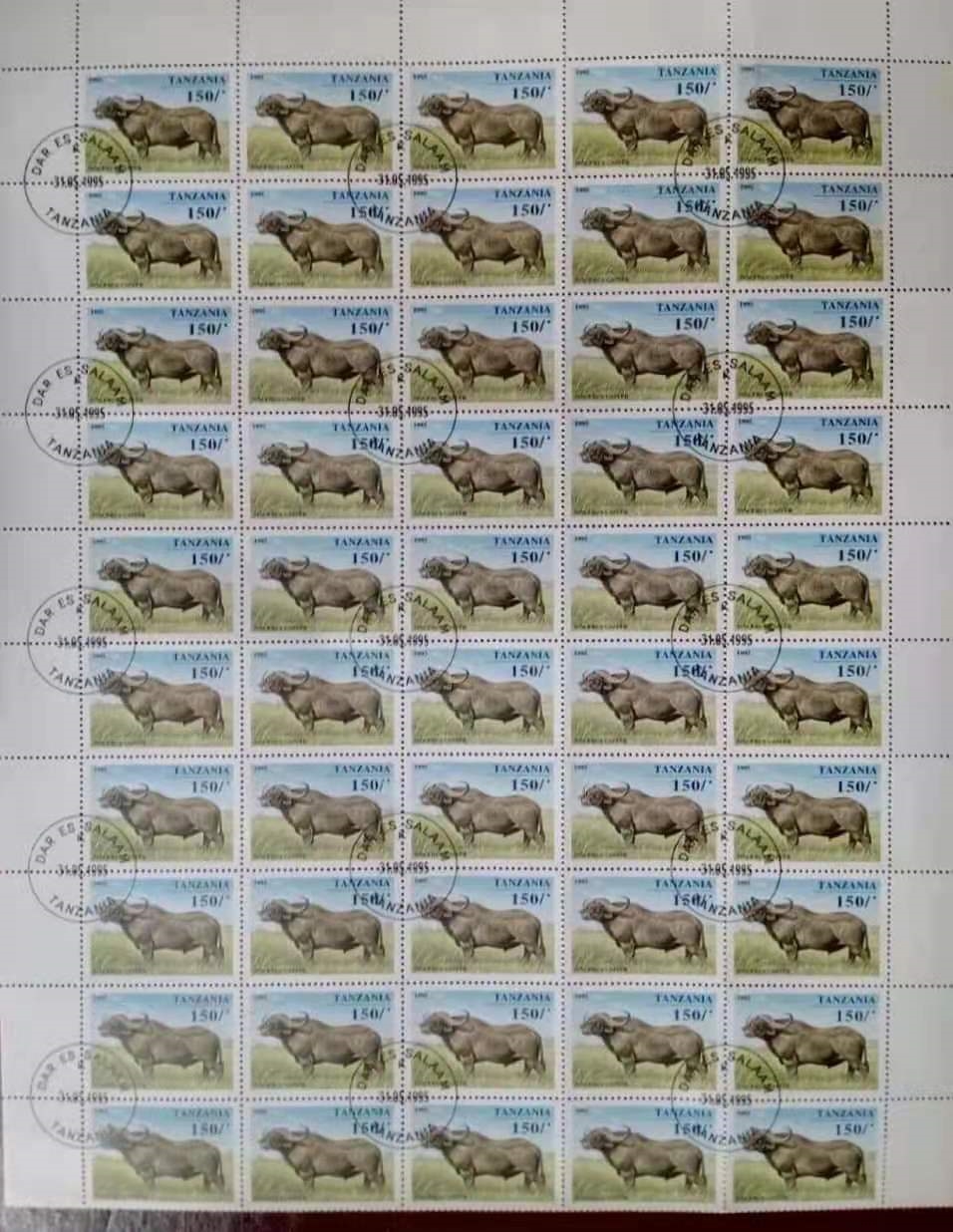 1614329698091055539.jpg 18.jpg