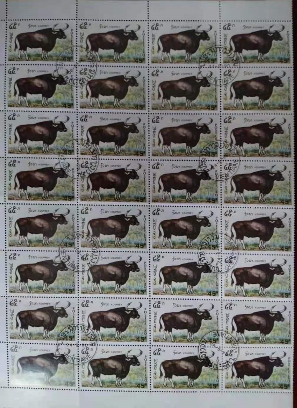 1614329730523080974.jpg 20.jpg