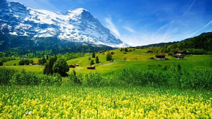 u_3727748221_1616098672&fm_193&app_53&size_w414&n_0&g_0n&f_.