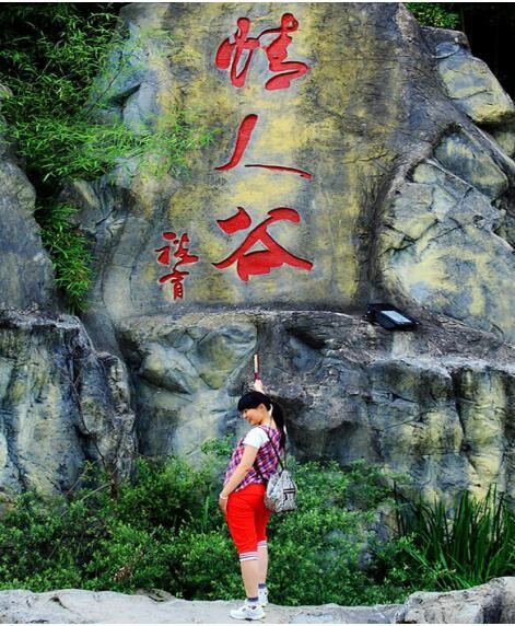 微诗三首 迷蝶香 文/金萍｜京津沪头条（图3）