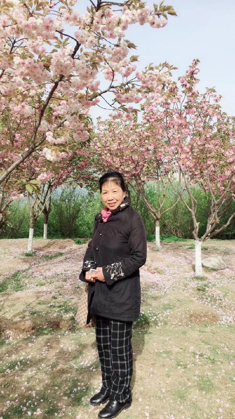 十堰【汉水听涛诗社】第57期诗友屈丽华七绝56法练习专辑之1一5法练习【冰心文化传媒】(图8)