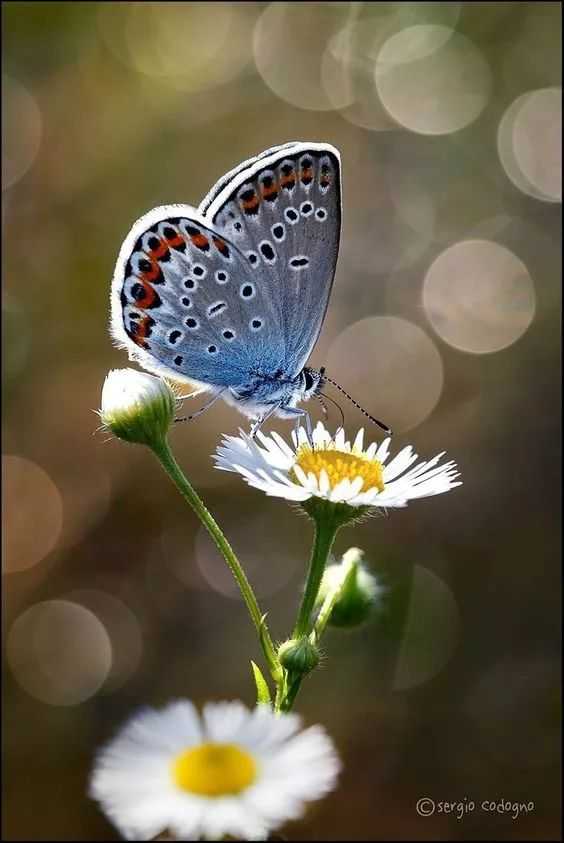 mmexportc1142928d76c13df018d5747ddd29bff.