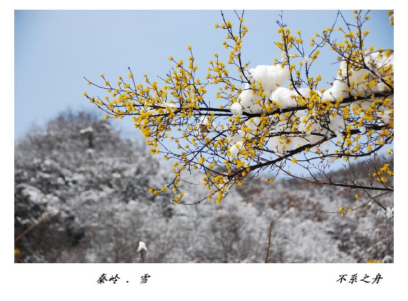 img.pconline.com-1614809655437.