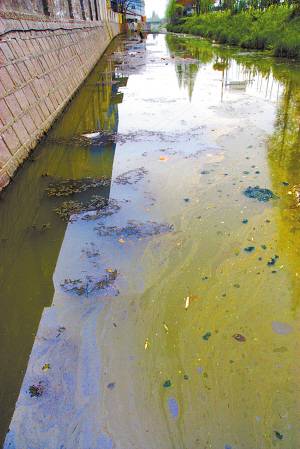 美舍河污染图片