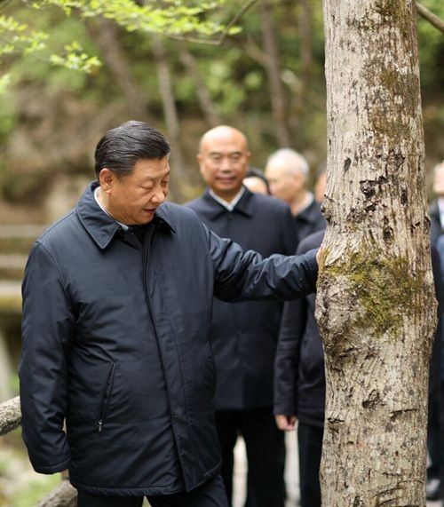 冯永强诗歌专刊‖牛年咏午四题-京津沪头条 文/冯永强