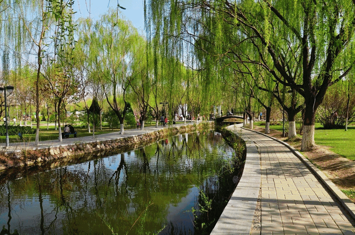 恭祝各位女神节日快乐诗词(图22)