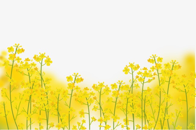 恭祝各位女神节日快乐诗词(图31)