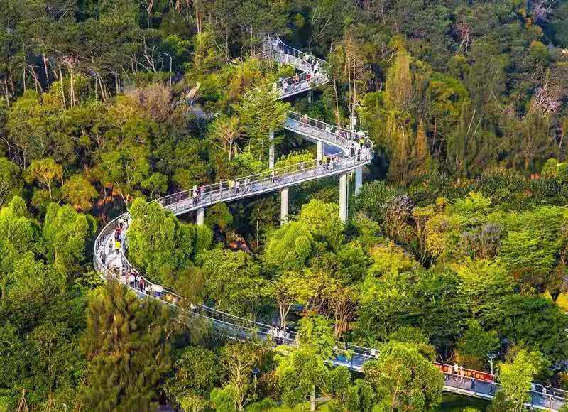 行走廈門山海健康步道雲哈里智能鞋美出新高度