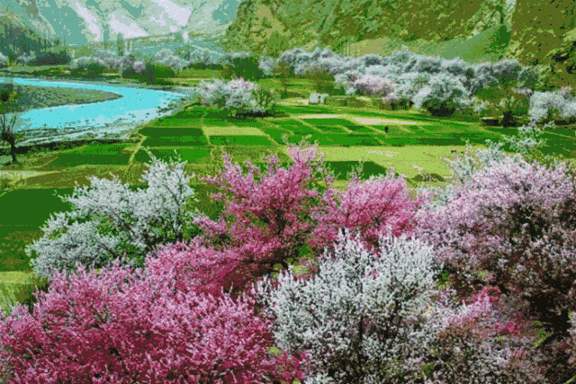 640_427gif 动态图 动图