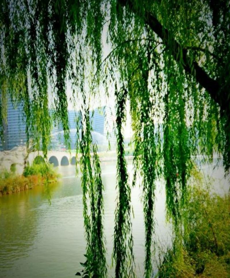 Screenshot_20210317_100751_com.baidu.searchbox_edit_330802619917231.