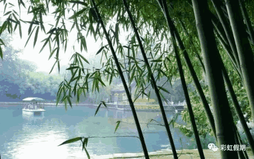500_314gif ̬ͼ ͼ