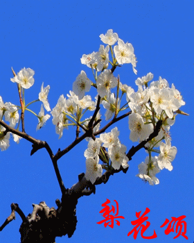 wsing.bssdl.kugou-7.