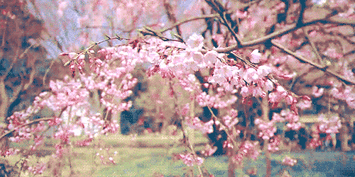 t011e500ca53961a940.