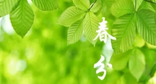 【潇湘文学社】潇湘紫竹诗社《春分清明专辑》(图15)