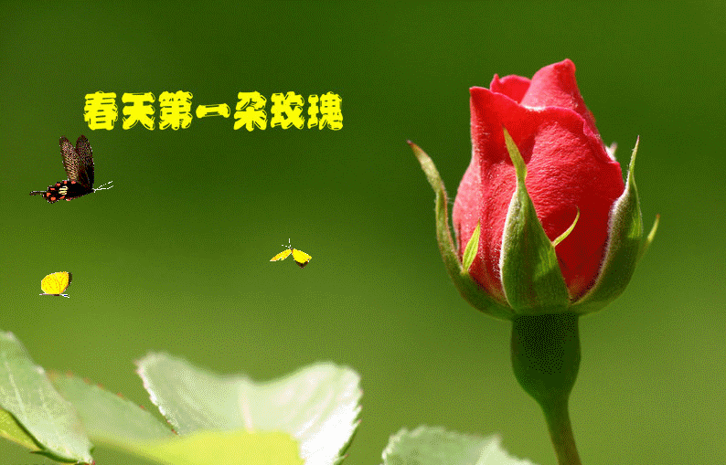 40E598F9-7266-4690-A42B-C2134725C515.