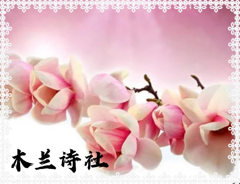 t01b3e34cdbaac3f125.webp_mh1616751989867.