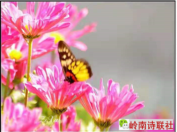 1616988745(1).png
