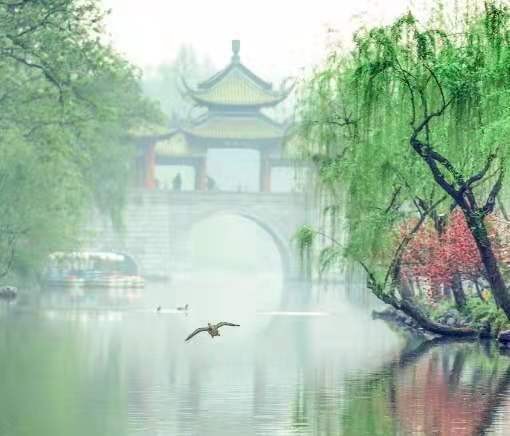 七绝四首(新韵) 作者:王新华(一片云)秦皇岛【冰心文化传媒】(图5)