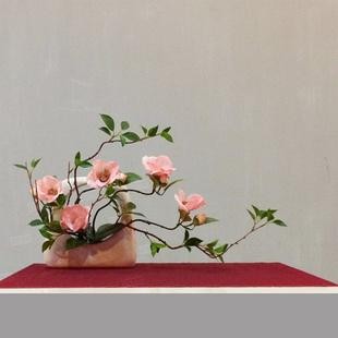 我是老师 山东省莘县 孙春红〔山东〕制作 冰心*幽蓝【冰心文化传媒】(图14)