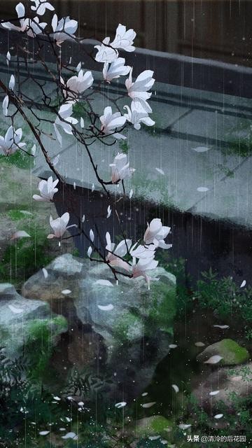 七律 咏梨花(二十一首) 文/杨振国(北京)|京津沪头条(图22)