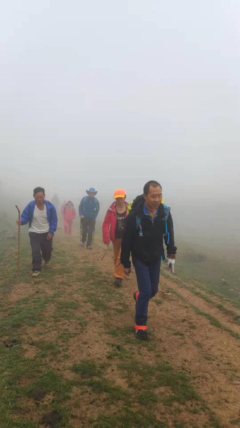 清明直向盘河行 转山绕水赏风景 作者:铁 裕〔云南〕【冰心文化传媒】(图10)