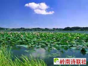 寰俊鍥剧墖_202104050849101.jpg