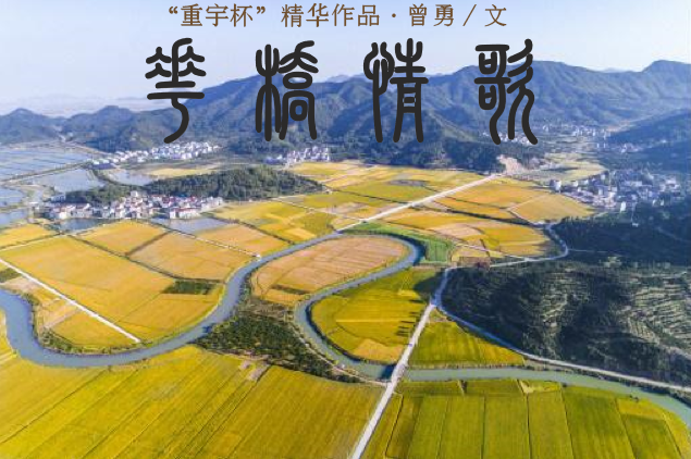 鏃犳爣棰?.png