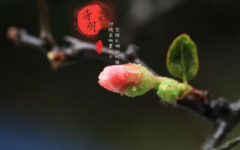 《中国爱情诗刊》(第2786期)福建组稿工作站选送(组稿： 寒流 审核：江飞)（图2）