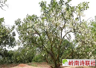 寰俊鍥剧墖_202104061419141.jpg