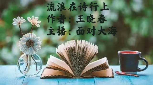 【彩红国际文化传媒】隆重推出《流浪在诗行上 》 作者:王晓春 主播:面对大海(图3)