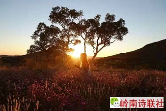 寰俊鍥剧墖_20210407104133.jpg
