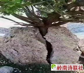 寰俊鍥剧墖_20210407104132.jpg