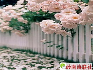 寰俊鍥剧墖_20210408133832.jpg