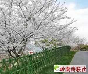 寰俊鍥剧墖_20210408143416.jpg