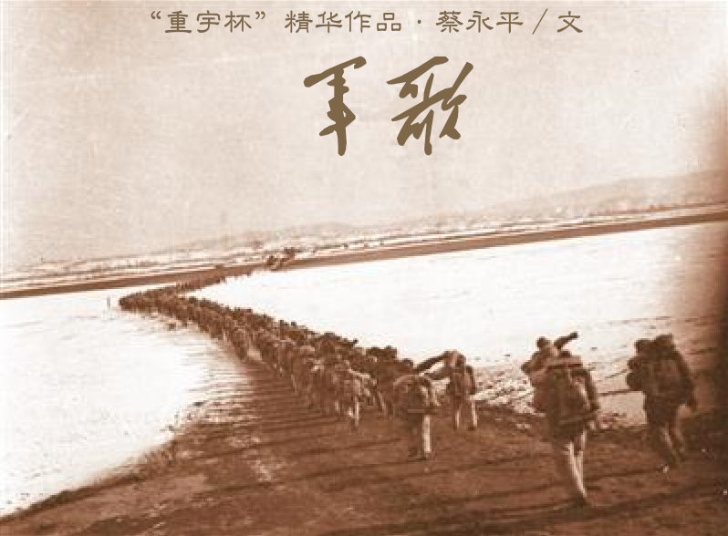 1617865070665007479.png 鏃犳爣棰?.png