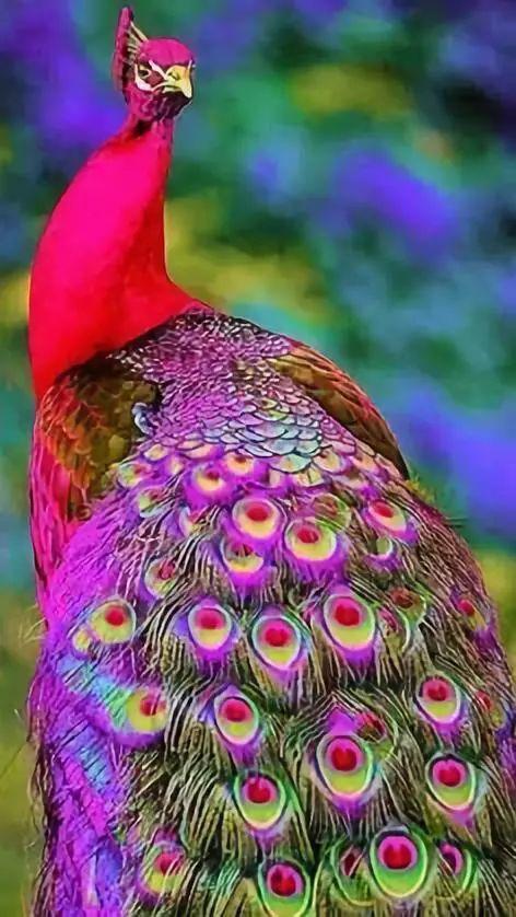 src=http_%2F%2Fpic1.arkoo.com%2FE9A4AE928CEC4F94A320FDD07B4B4EBE%2Fpicture%2Fo_1cv5qghgkomp1boq1krruk01u7u2n.jpg&refer=http_%2F%2Fpic1.arkoo.jpg