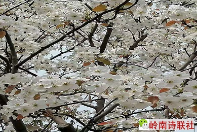 寰俊鍥剧墖_20210411154608.jpg