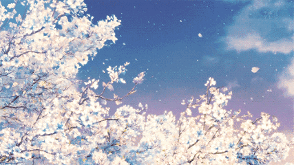t01f623b71c3444bc50.