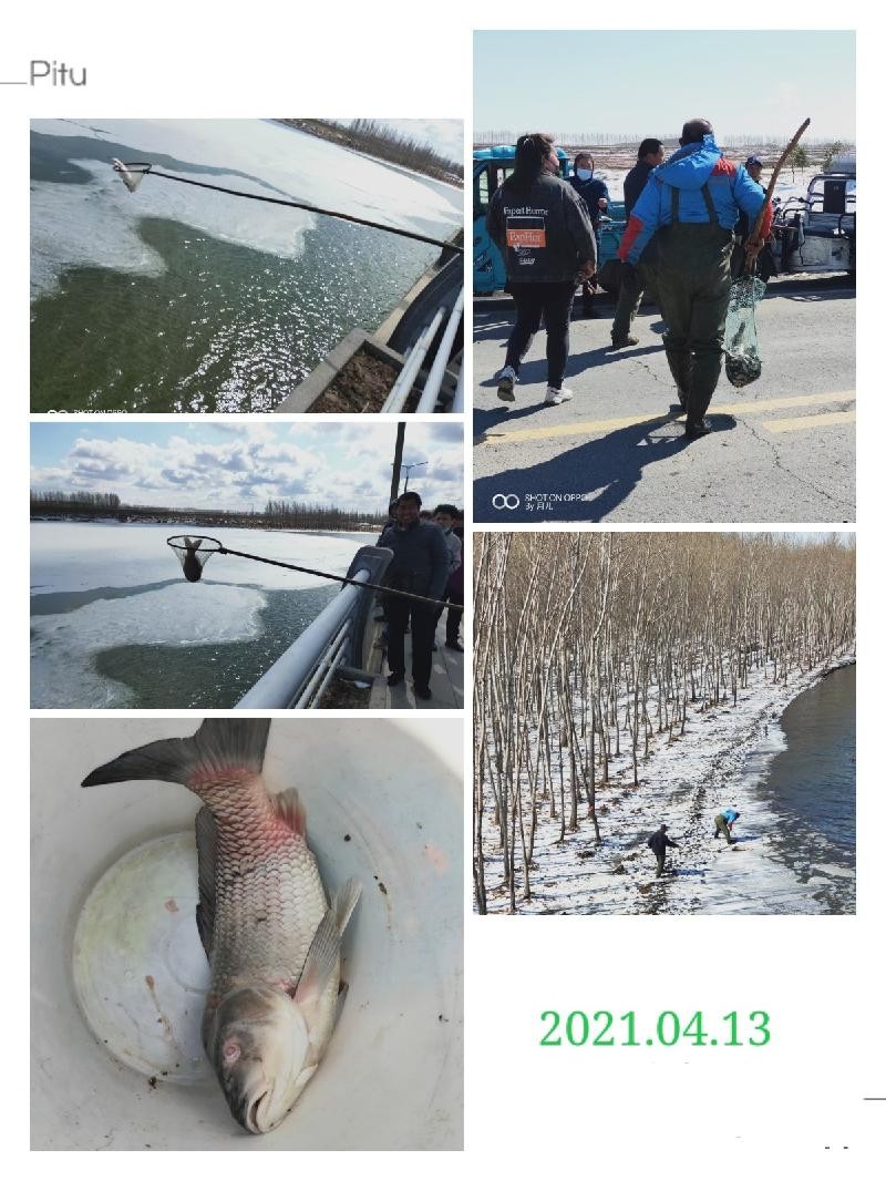 北疆诗苑-79 走不够的大桥，看不够的青马湖 摄影：月儿 梅坼晓风（图14）